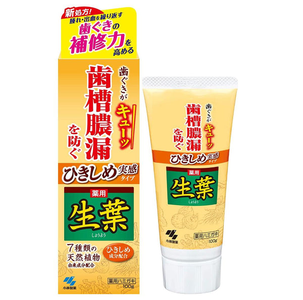 KOBAYASHI Japan Toothpaste Fresh Leaves Tightening Real Type 100g